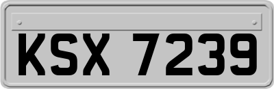 KSX7239