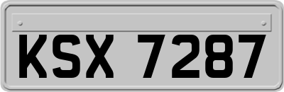 KSX7287