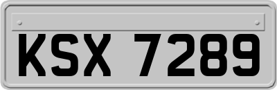 KSX7289