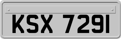 KSX7291