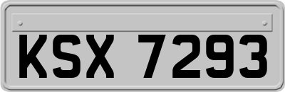 KSX7293