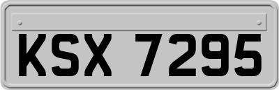 KSX7295