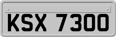 KSX7300