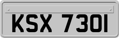 KSX7301
