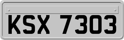 KSX7303