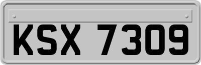 KSX7309