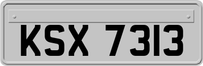 KSX7313