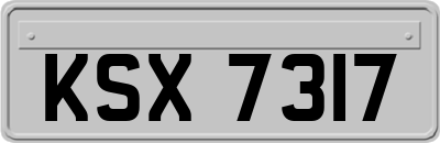 KSX7317