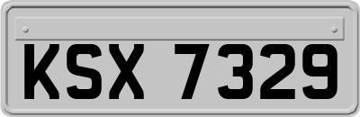 KSX7329