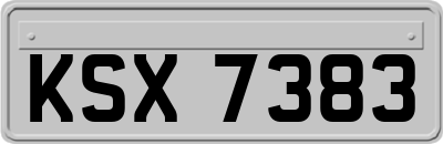 KSX7383