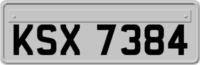 KSX7384