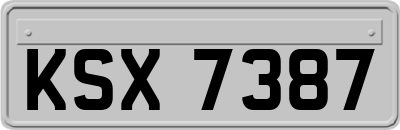 KSX7387