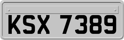 KSX7389