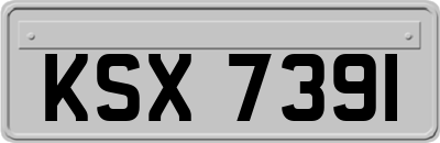 KSX7391