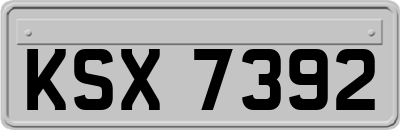 KSX7392