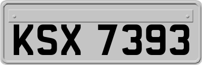 KSX7393