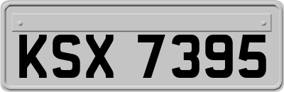 KSX7395