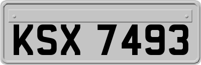 KSX7493