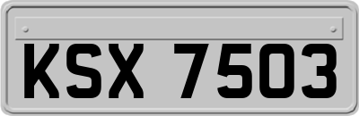 KSX7503