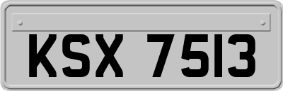 KSX7513