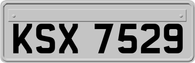 KSX7529