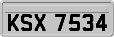 KSX7534
