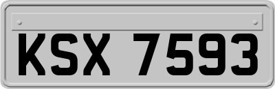 KSX7593