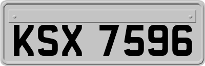KSX7596