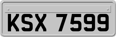 KSX7599
