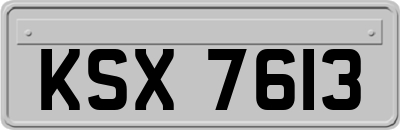 KSX7613