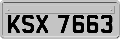 KSX7663