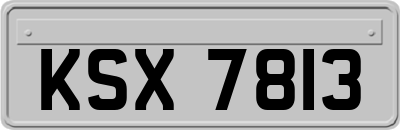 KSX7813