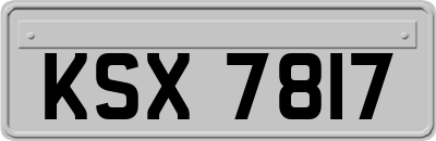 KSX7817