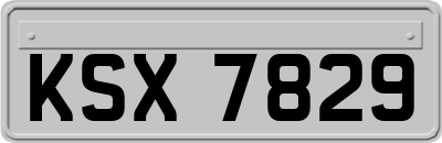 KSX7829