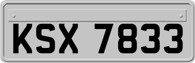 KSX7833