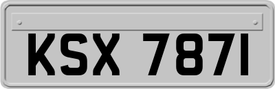 KSX7871