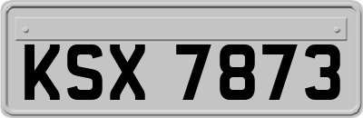 KSX7873
