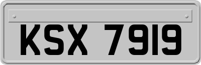 KSX7919