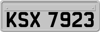 KSX7923