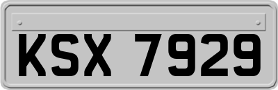 KSX7929