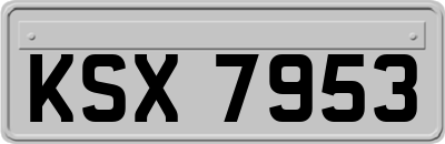 KSX7953