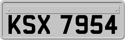 KSX7954