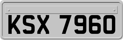 KSX7960