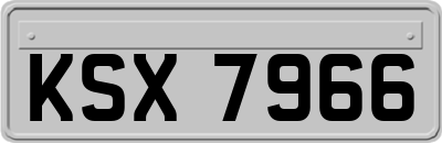 KSX7966