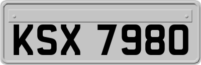 KSX7980