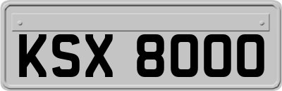 KSX8000