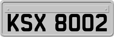 KSX8002