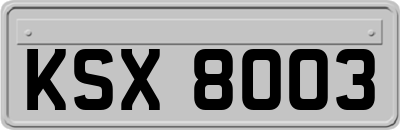 KSX8003