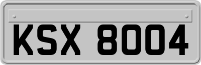 KSX8004