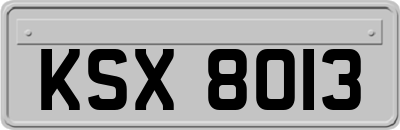 KSX8013